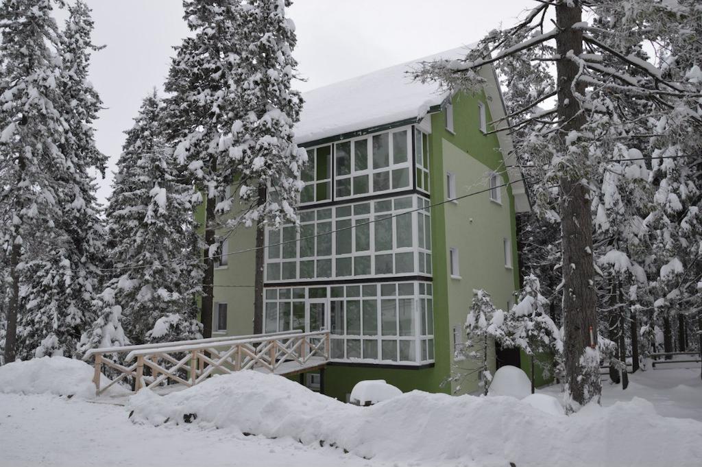 Hotel Zelena Dacha à Dragobrat Extérieur photo